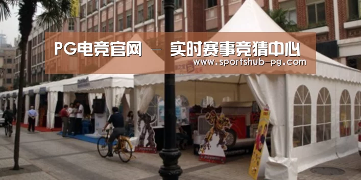 案例标题九