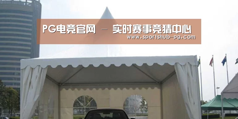 案例标题八