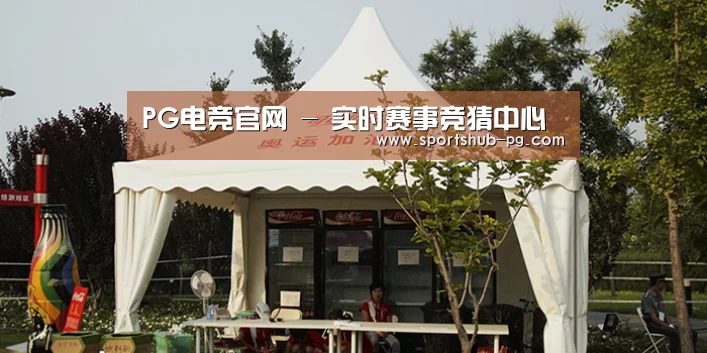案例标题五