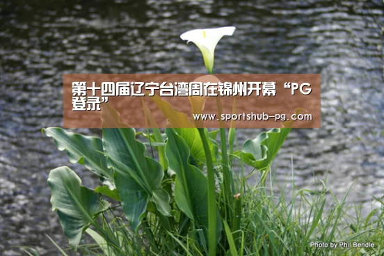 第十四届辽宁台湾周在锦州开幕“PG登录”(图1) PG电竞