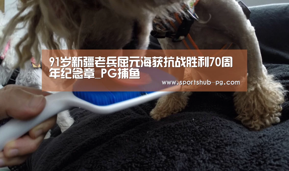 PG登录