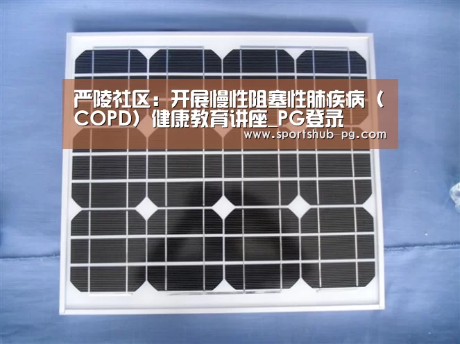 严陵社区:开展慢性阻塞性肺疾病(COPD)健康教育讲座_PG登录(图1) PG电竞