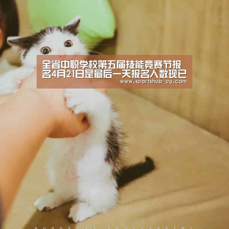 全省中职学校第五届技能竞赛节报名4月21日是最后一天报名人数现已突破2000人“PG捕鱼”(图1) PG登录